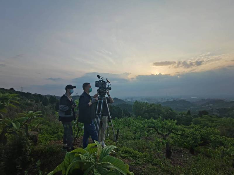 创意破圈！房山区电商产品宣传视频用故事化叙事引爆流量