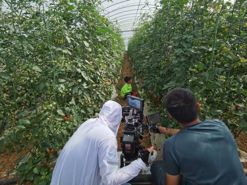 房山区产品宣传视频拍摄公司进阶指南，助力品牌抢占传播高地